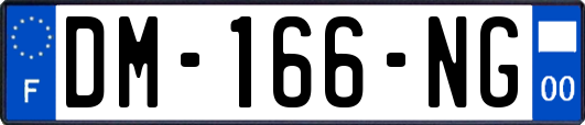 DM-166-NG