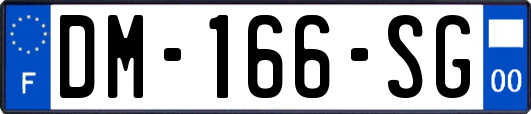 DM-166-SG