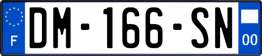 DM-166-SN