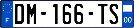 DM-166-TS