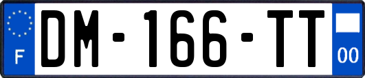 DM-166-TT
