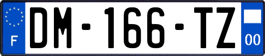 DM-166-TZ