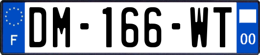 DM-166-WT