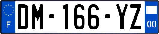 DM-166-YZ