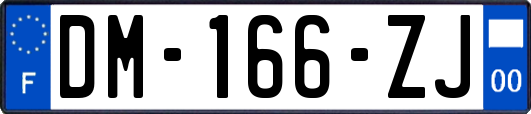 DM-166-ZJ