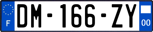 DM-166-ZY