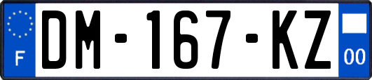 DM-167-KZ