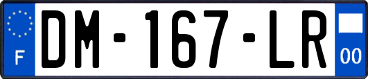 DM-167-LR