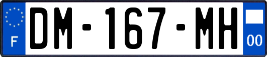 DM-167-MH