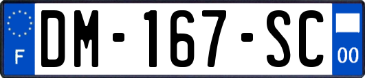 DM-167-SC