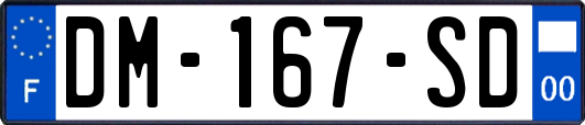 DM-167-SD