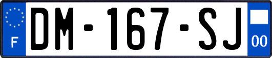 DM-167-SJ