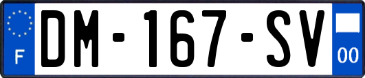DM-167-SV