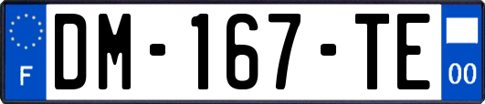 DM-167-TE