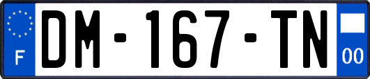 DM-167-TN