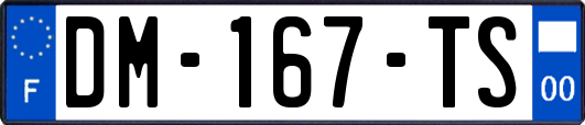 DM-167-TS