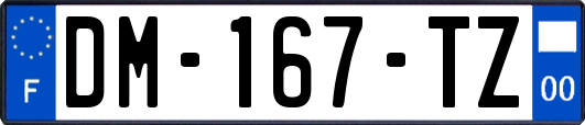 DM-167-TZ