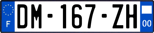 DM-167-ZH