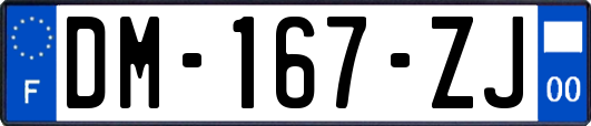 DM-167-ZJ