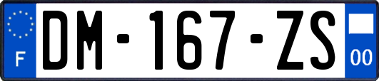 DM-167-ZS