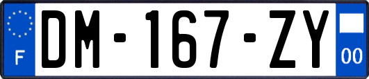 DM-167-ZY