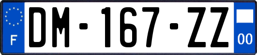 DM-167-ZZ