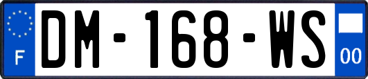 DM-168-WS