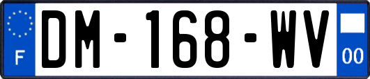 DM-168-WV