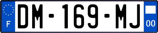 DM-169-MJ