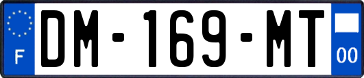 DM-169-MT