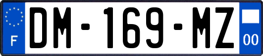 DM-169-MZ