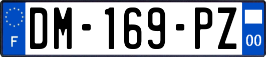 DM-169-PZ