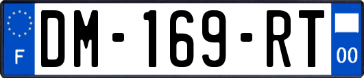 DM-169-RT
