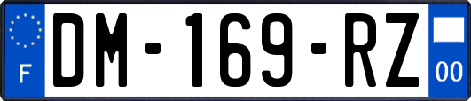 DM-169-RZ