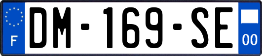DM-169-SE