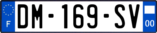 DM-169-SV