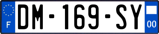 DM-169-SY