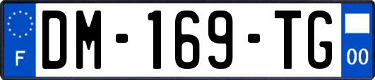 DM-169-TG