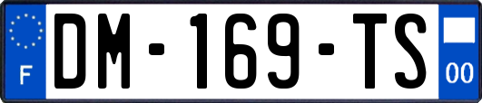 DM-169-TS