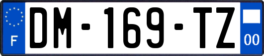 DM-169-TZ