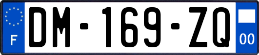 DM-169-ZQ