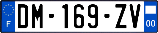 DM-169-ZV