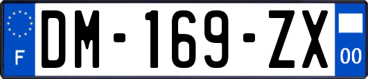 DM-169-ZX