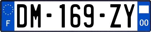 DM-169-ZY