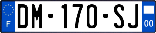 DM-170-SJ
