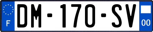 DM-170-SV