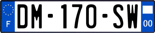 DM-170-SW