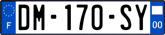 DM-170-SY