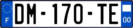 DM-170-TE