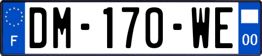 DM-170-WE